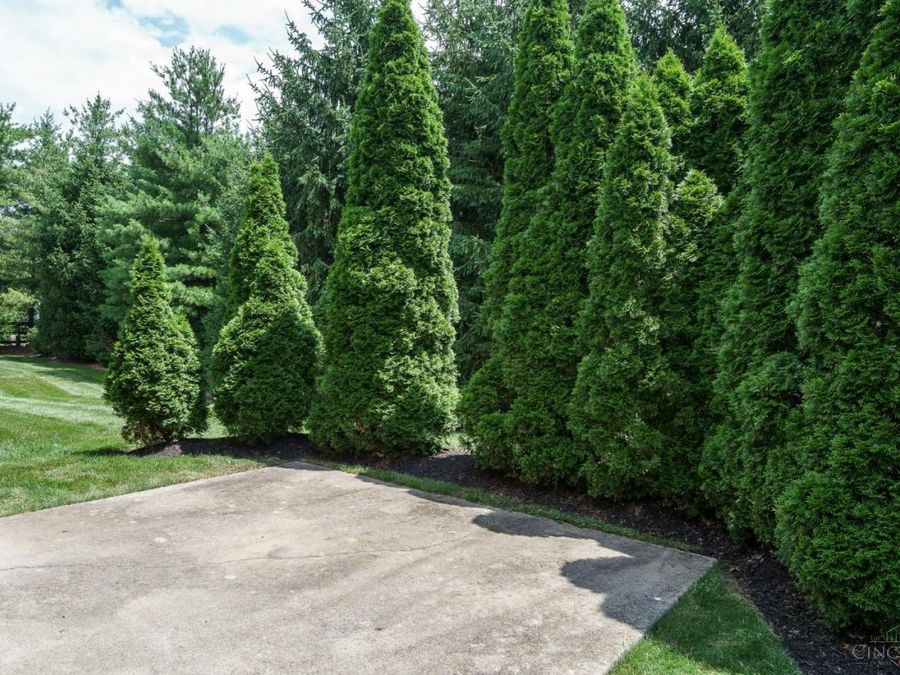 8022 Stonegate Drive, Anderson Township, OH 45255 Photo 9