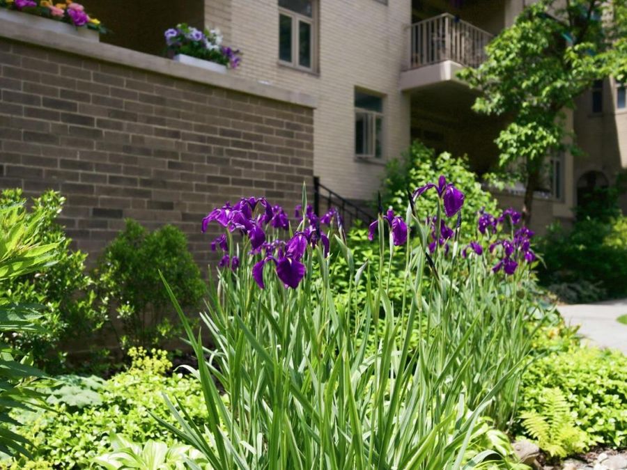 2372 Madison Road, Unit W3D, Cincinnati, OH 45208 Photo 41