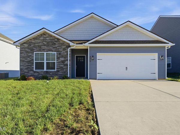 252 Chimney View Loop, Blountville, TN 37617