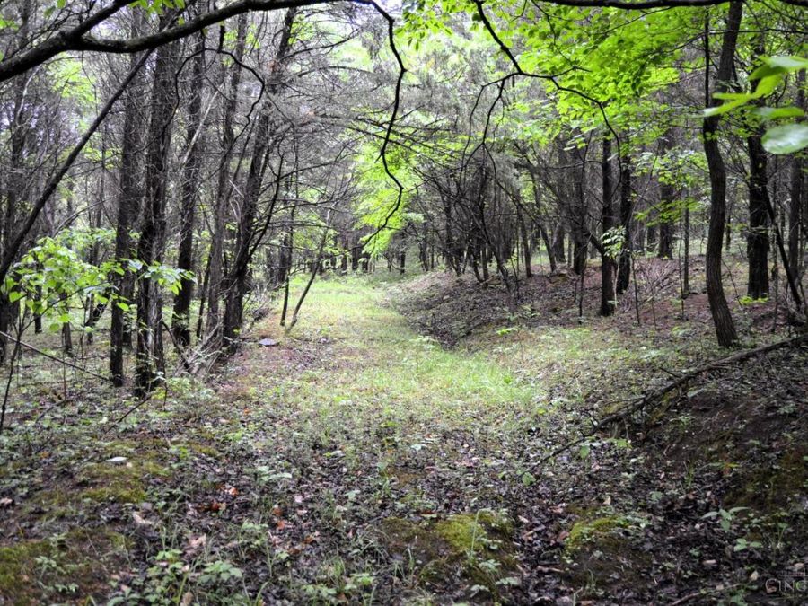 16200 US Rt 52, Monroe Township, OH 45144 Photo 12