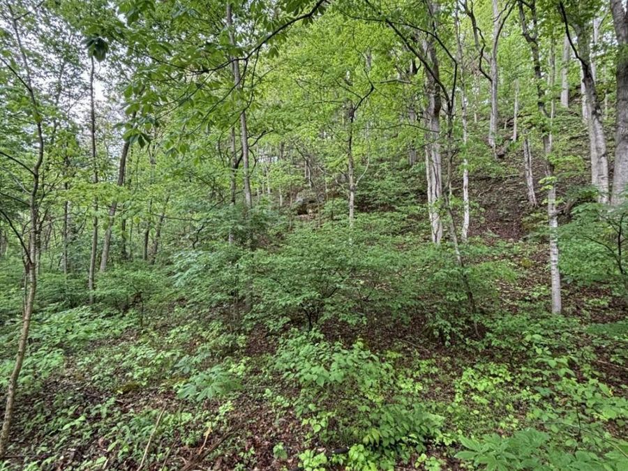 16200 US Rt 52, Monroe Township, OH 45144 Photo 15