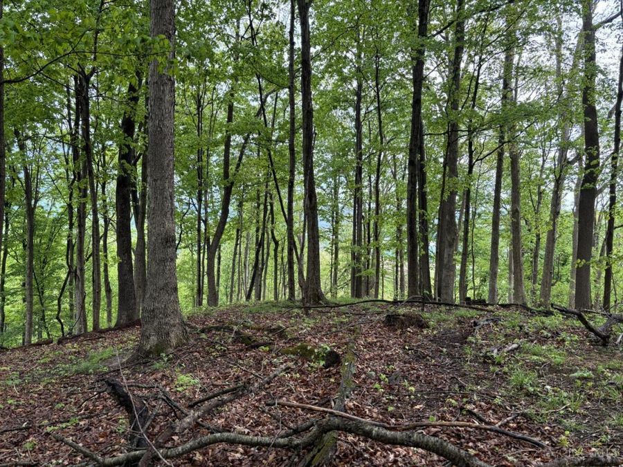 16200 US Rt 52, Monroe Township, OH 45144 Photo 18