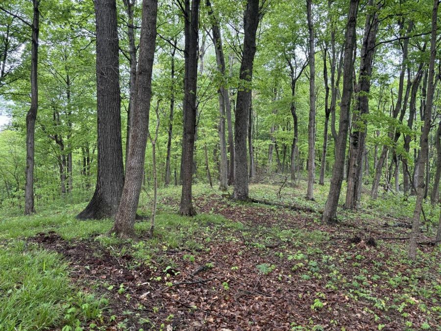 16200 US Rt 52, Monroe Township, OH 45144 Photo 19
