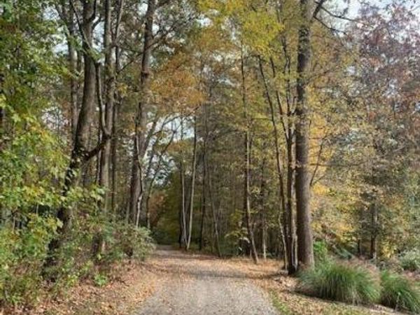 4559 AMOS ROAD, WHITE HALL, MD 21161
