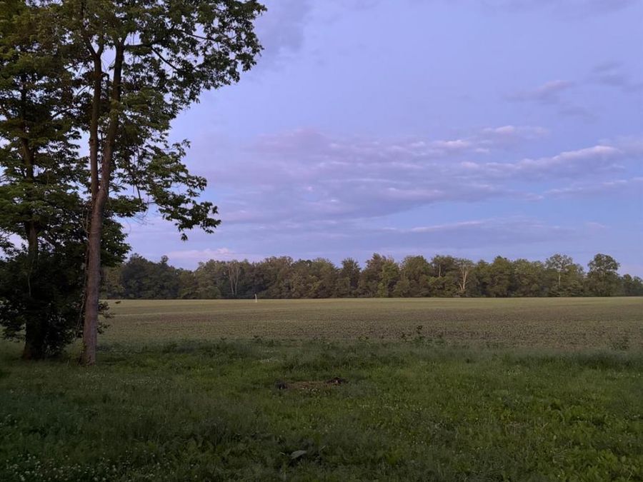 5415 St Rt 730, Vernon Township, OH 45177 Photo 32