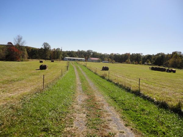 305 Deerhead Road, Dunlap 37327