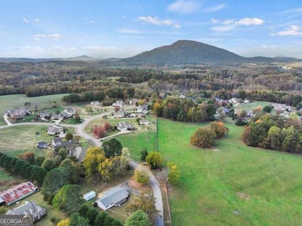 239 Brown Drive, Clermont, GA 30527