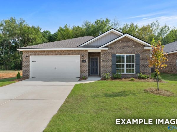 220 Cave Lake, Owens Cross Roads, AL 35763