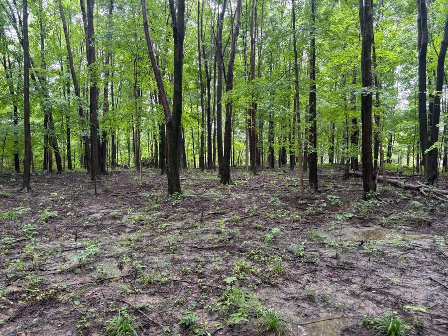 0 Orange , Delaware, OH 43015 Photo 1