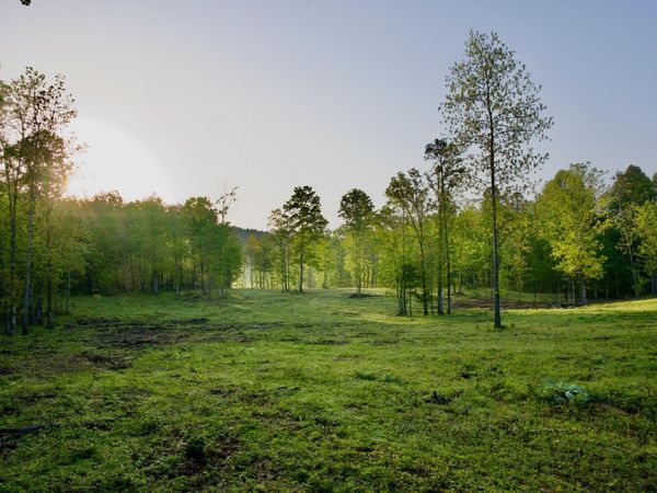 40A Barker Cove Loop , Palmer, TN 37365