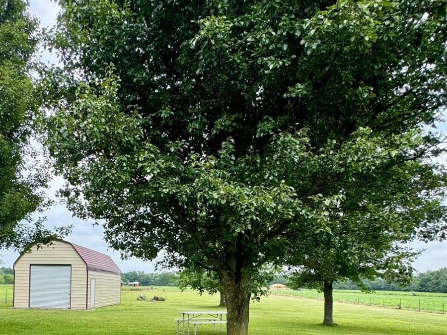 10794 Collins Riley Road, Harlan Township, OH 45107 Photo 31