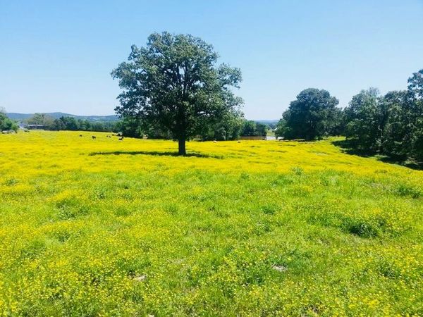 1412 County Road 2641 , Lamar, AR 72846