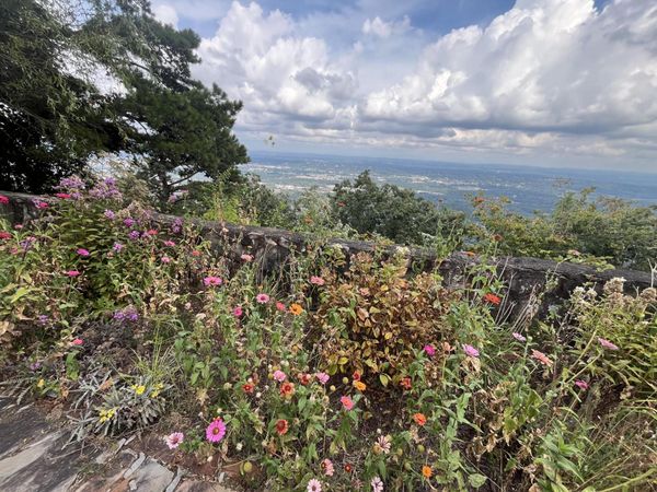 221 E Brow Road, Lookout Mountain 37350