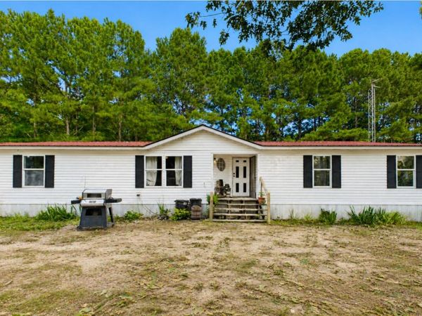 444 Nellie Lane, Trion 30753