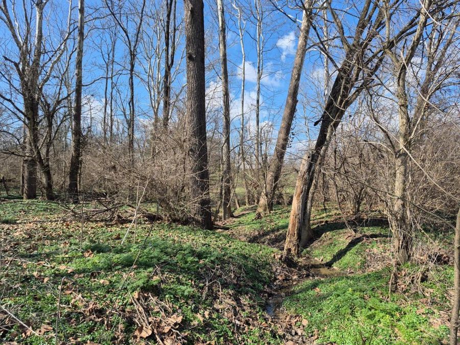 6656 St Rt 133, Wayne Township, OH 45162 Photo 37