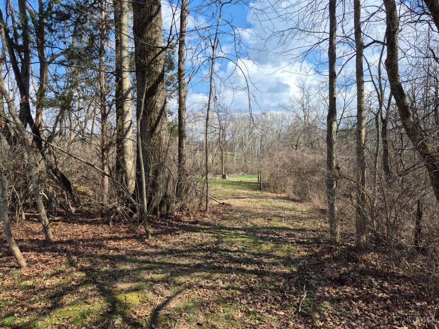 6656 St Rt 133, Wayne Township, OH 45162 Photo 8