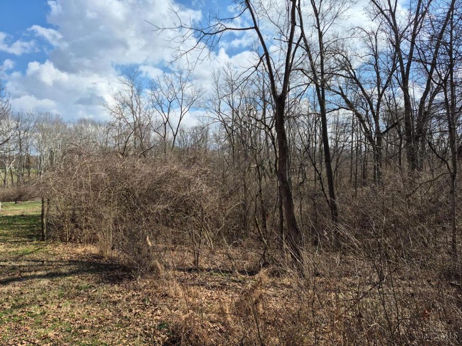 6656 St Rt 133, Wayne Township, OH 45162 Photo 9