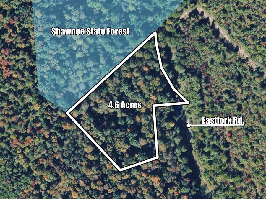 0 East Fork Pond Run Rd , Stout, OH 45684 Photo 1