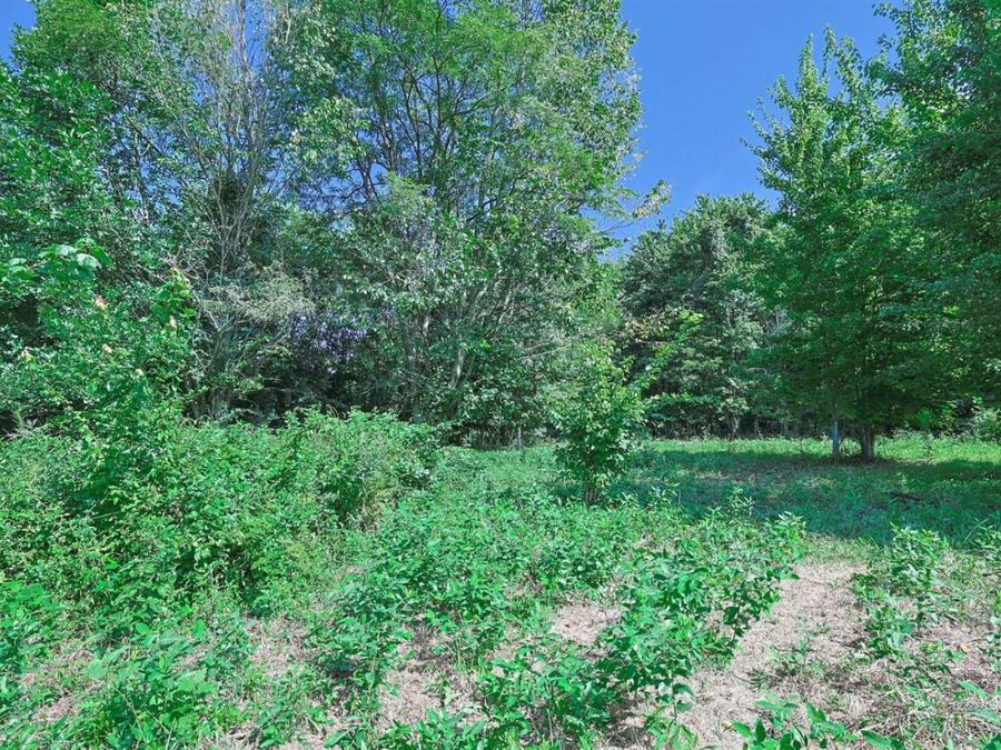 0 Richey Road, Franklin Township, OH 45120 Photo 6